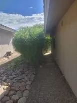 Expert yard maintenance for year-round maintenance in Vail, AZ by Colossal Landscaping