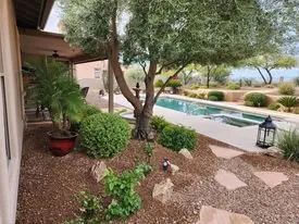 Trusted yard cleanup service in Vail, AZ - Colossal Landscaping