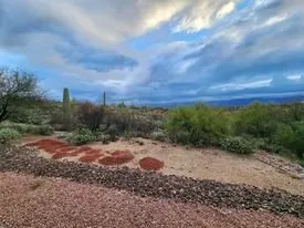 Professional residential landscaping for beautiful yards in Vail, AZ by Colossal Landscaping