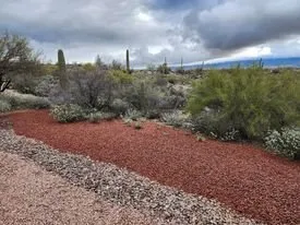 Affordable yard maintenance for beautiful yards in Vail, AZ by Colossal Landscaping