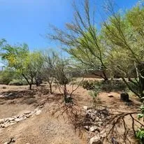 Local garden landscaping in Vail, AZ - Colossal Landscaping