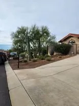 Professional landscape design for year-round maintenance in Vail, AZ by Colossal Landscaping