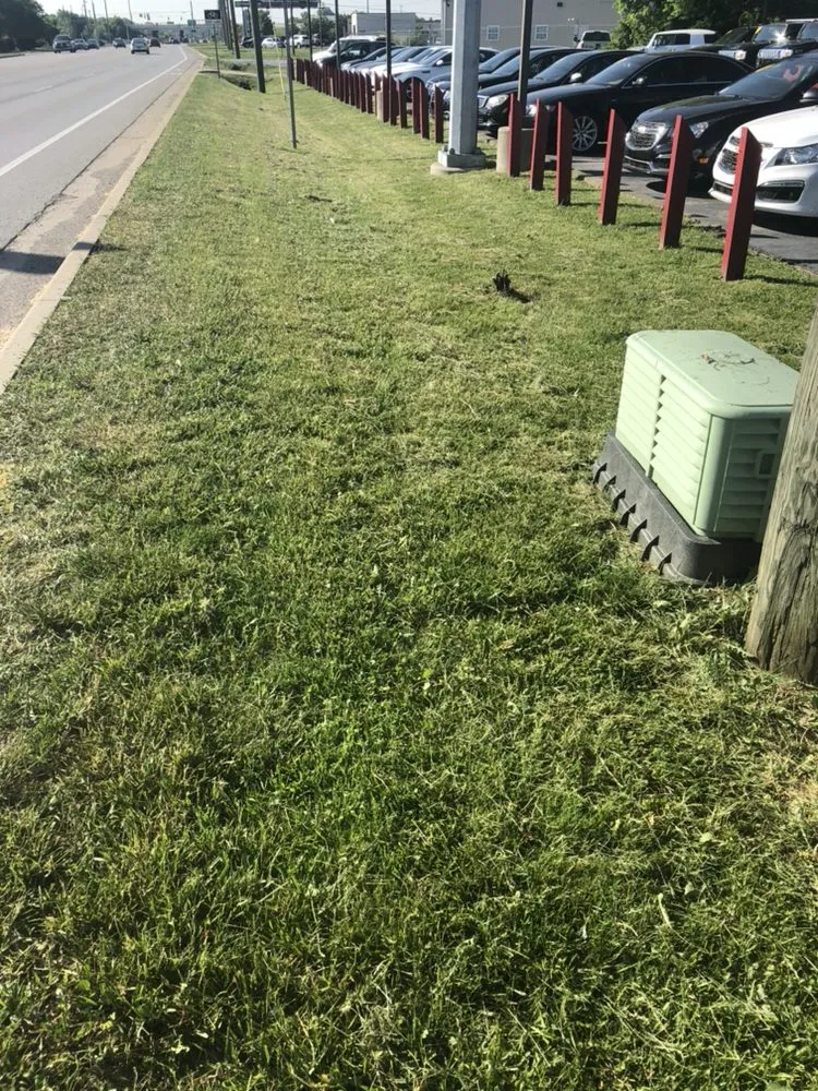 Expert residential landscaping in Indianapolis, IN - Colossol Lawnpro and More