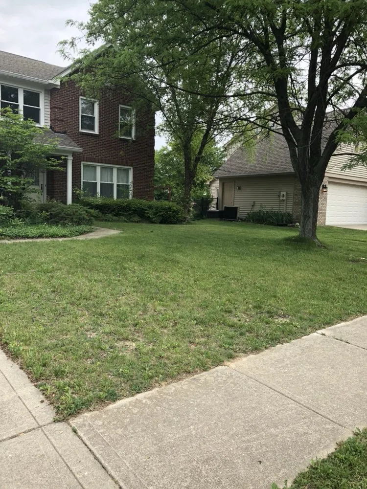 Custom landscape design in Indianapolis, IN - Colossol Lawnpro and More