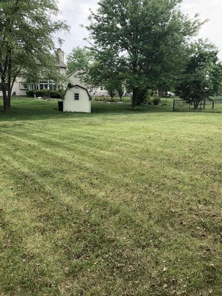 Expert lawn mowing service experts serving Indianapolis, IN - Colossol Lawnpro and More