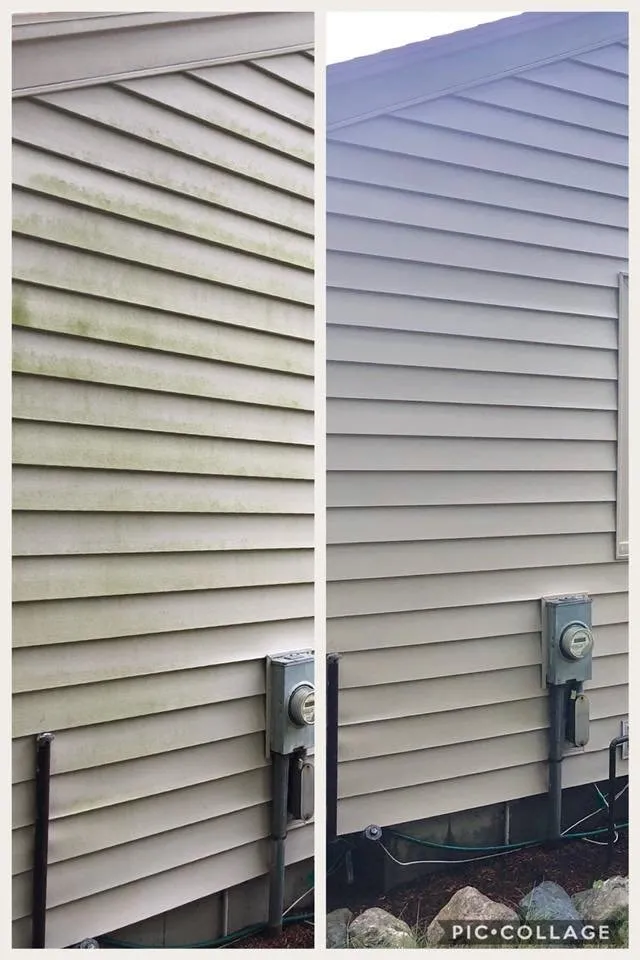 Expert yard cleanup service near you across Worcester, MA - Colour Scape Painting