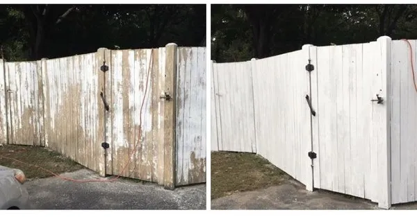 Colour Scape Painting Logo