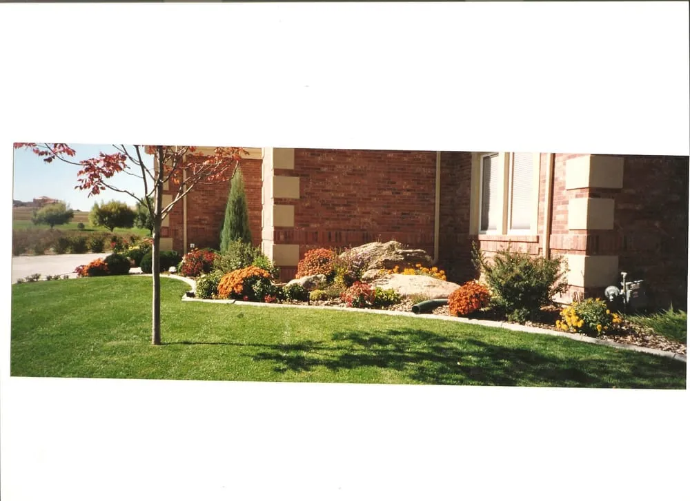 Affordable yard cleanup service for homes in Loveland, CO by Colson Sprinkler & Landscaping