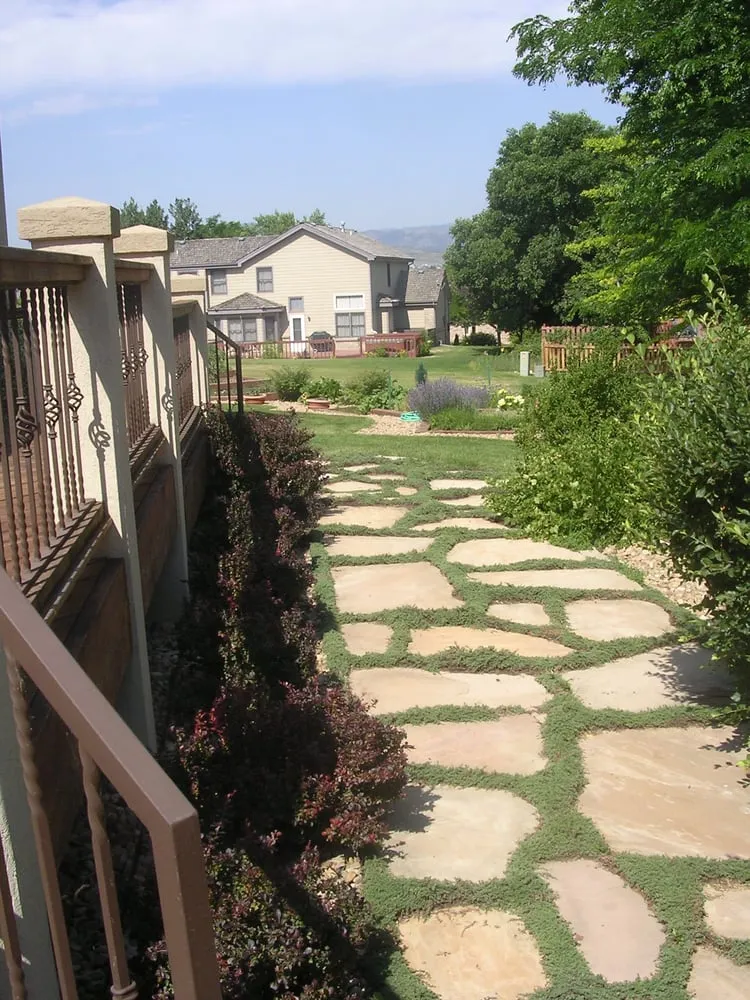 Expert lawn mowing service for homes in Loveland, CO by Colson Sprinkler & Landscaping