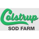 Affordable lawn care service experts serving Hollandale, MN - Colstrup Sod Farm