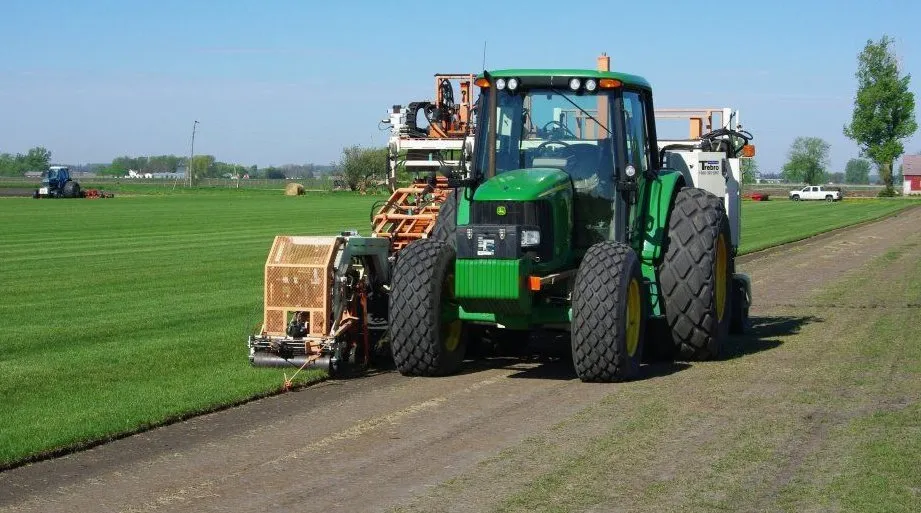 Affordable lawn mowing service for residential properties across Hollandale, MN - Colstrup Sod Farm
