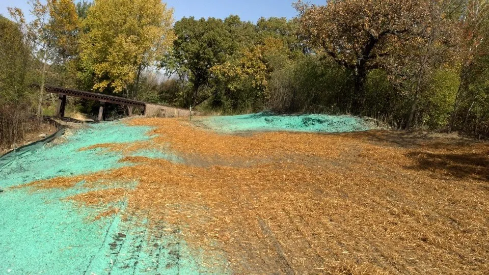 Reliable residential landscaping experts serving Hollandale, MN - Colstrup Sod Farm