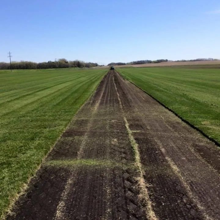 Professional yard maintenance experts serving Hollandale, MN - Colstrup Sod Farm