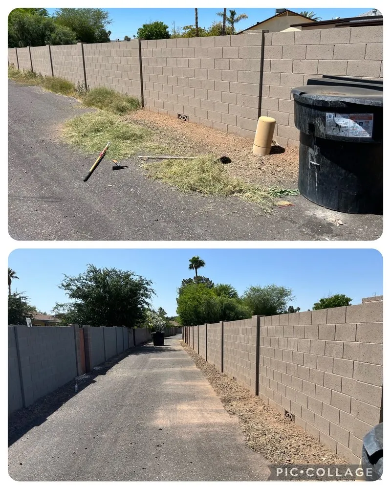 Expert yard cleanup service in Mesa, AZ by Coltens Lawn Care
