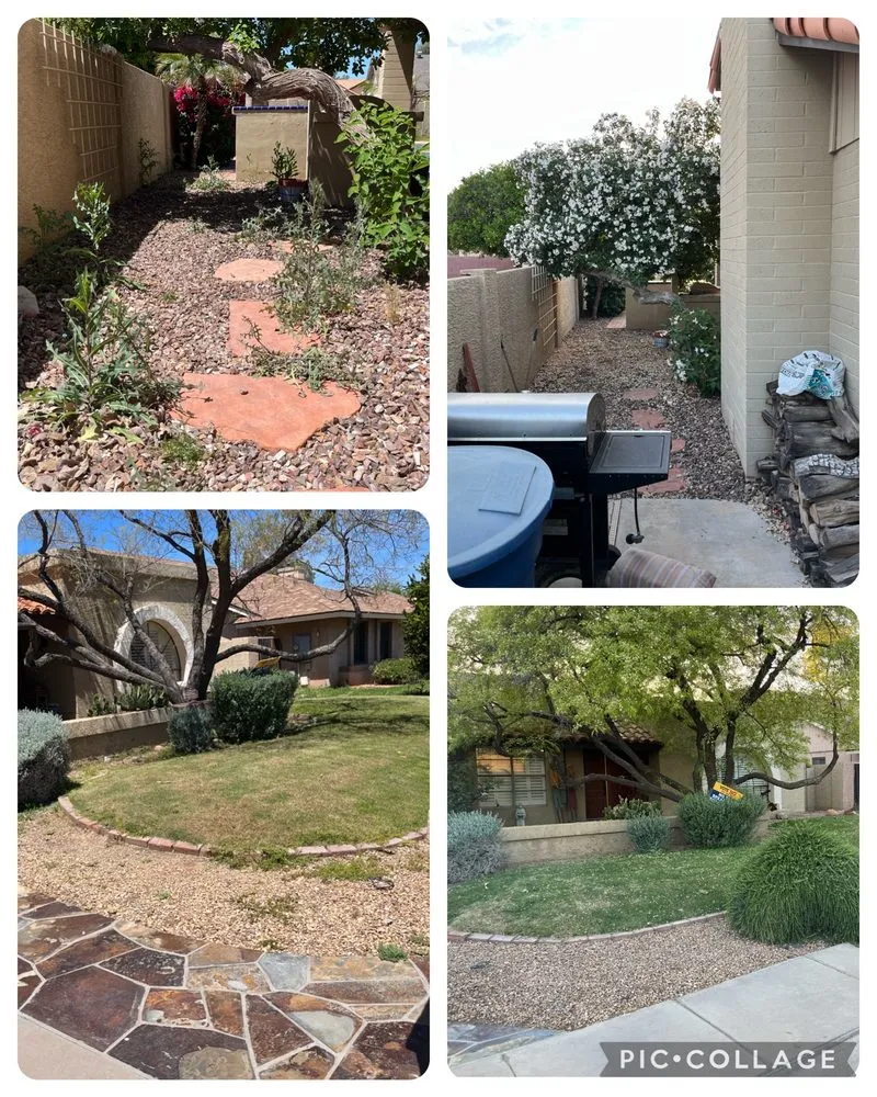 Trusted lawn mowing service in Mesa, AZ - Coltens Lawn Care