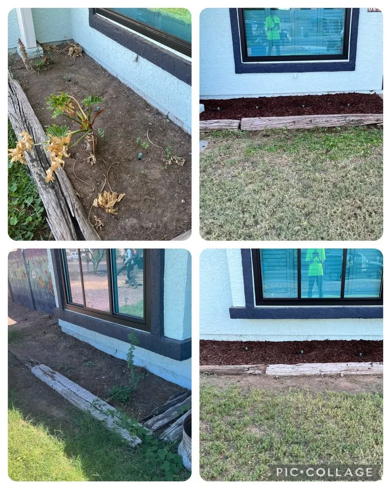 Trusted yard cleanup service for homes in Mesa, AZ by Coltens Lawn Care