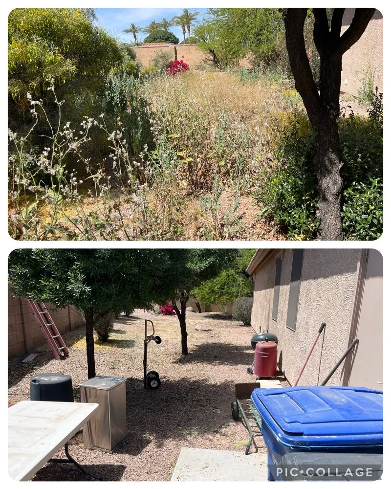 Custom yard cleanup service with custom design across Mesa, AZ - Coltens Lawn Care