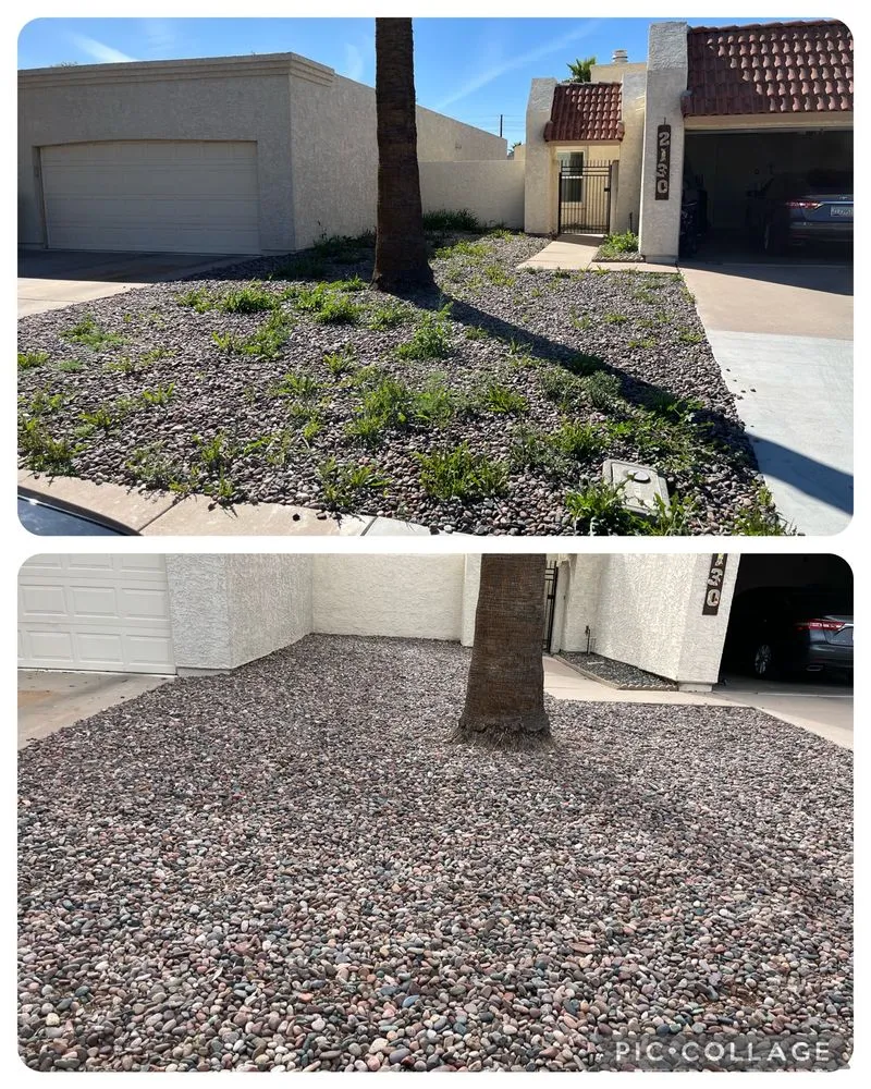 Trusted outdoor landscaping for year-round maintenance across Mesa, AZ - Coltens Lawn Care
