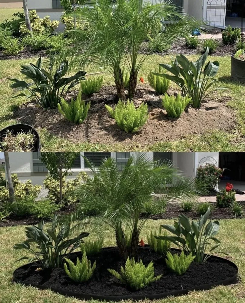 Affordable residential landscaping in Venice, FL by Colton Tyler