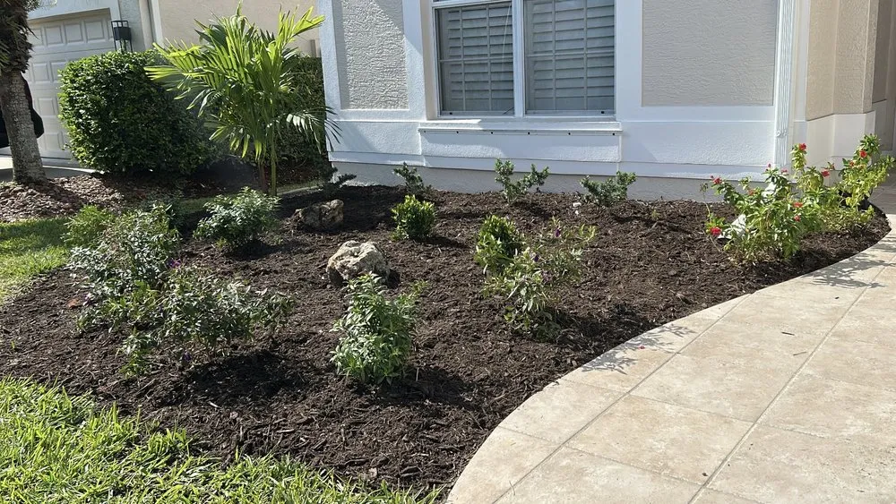 Custom landscaping services for beautiful yards in Venice, FL by Colton Tyler