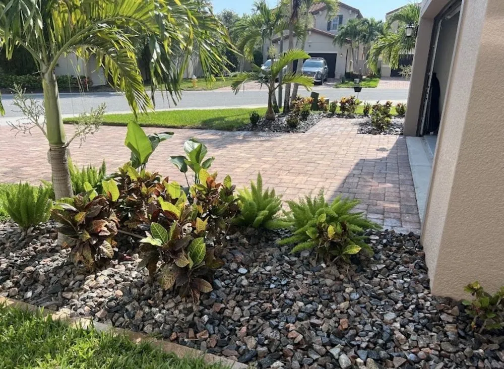 Top-rated landscape installation for homes across Venice, FL - Colton Tyler