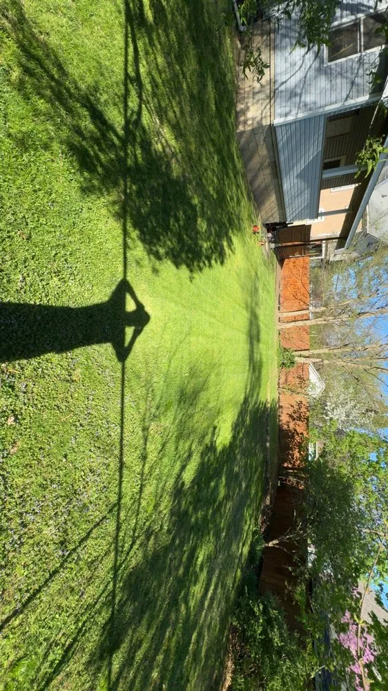 Expert yard cleanup service with custom design across Albion, MI - Colton’s Landscaping