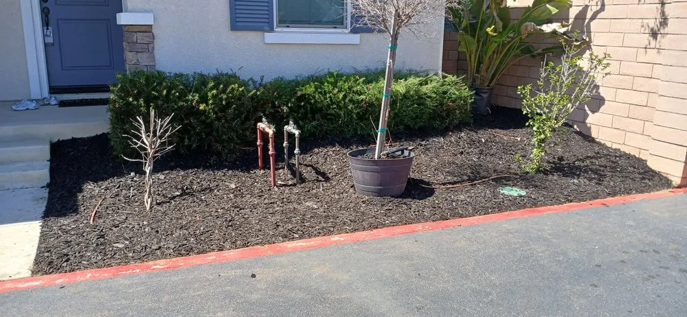 Top-rated landscape design in Valley Center, CA by Colton's Lawn Care And Landscaping