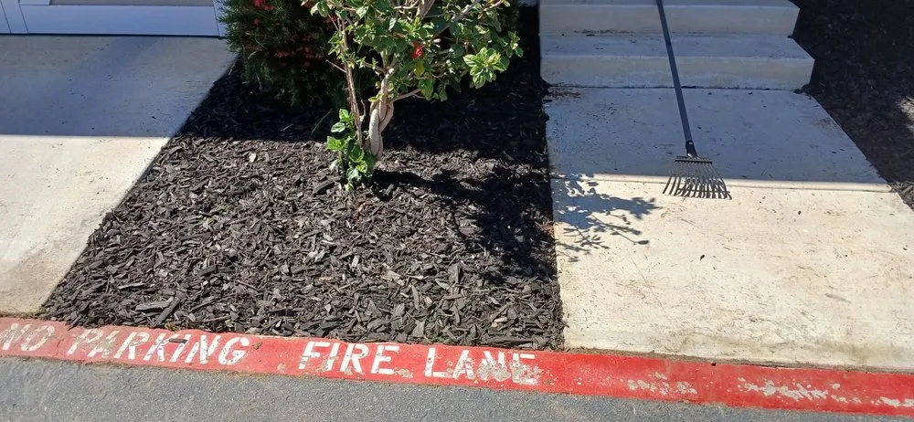 Reliable outdoor landscaping in Valley Center, CA - Colton's Lawn Care And Landscaping