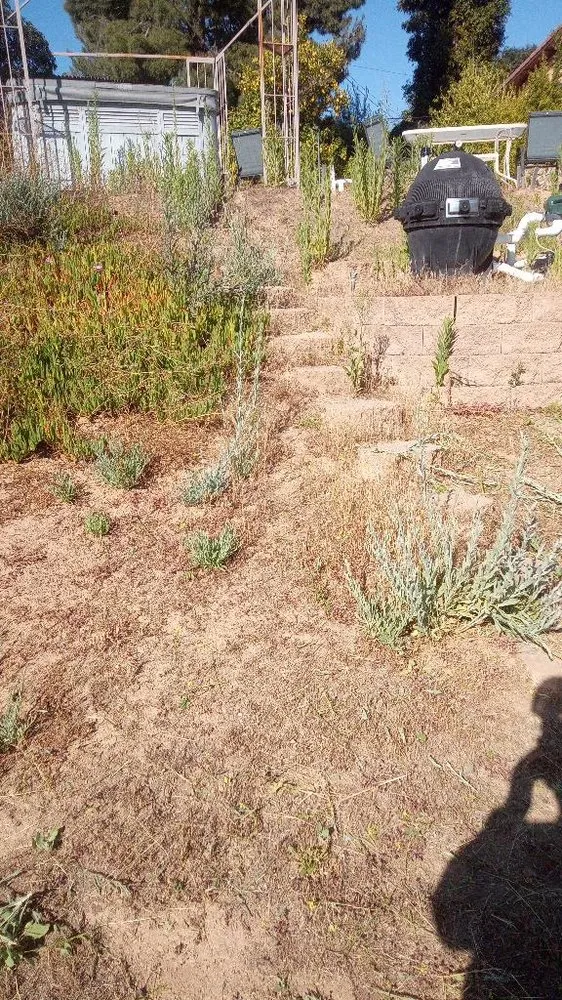 Trusted yard maintenance in Valley Center, CA - Colton's Lawn Care And Landscaping