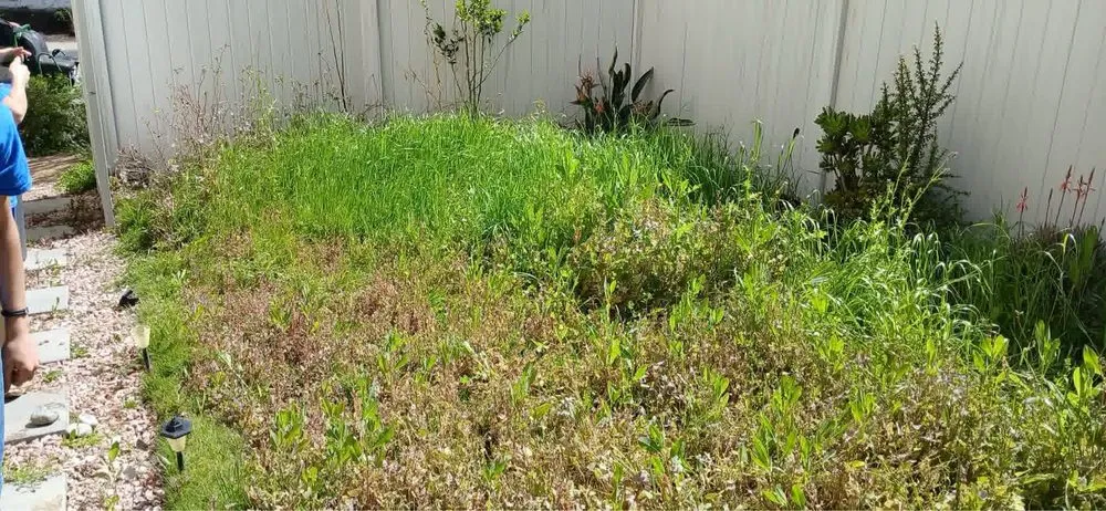 Professional residential landscaping in Valley Center, CA by Colton's Lawn Care And Landscaping