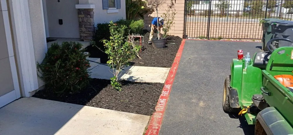 Professional landscape design in Valley Center, CA - Colton's Lawn Care And Landscaping