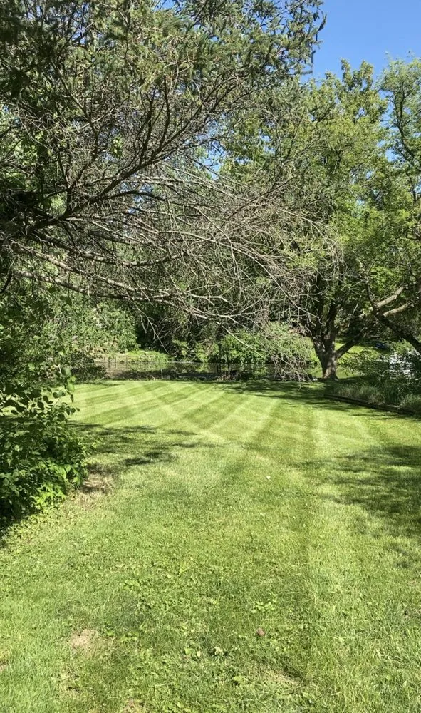 Affordable landscape design for outdoor upgrades across Mahomet, IL - Colton's Lawn Care