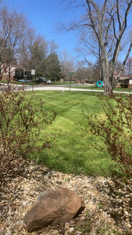 Local yard cleanup service in Mahomet, IL - Colton's Lawn Care