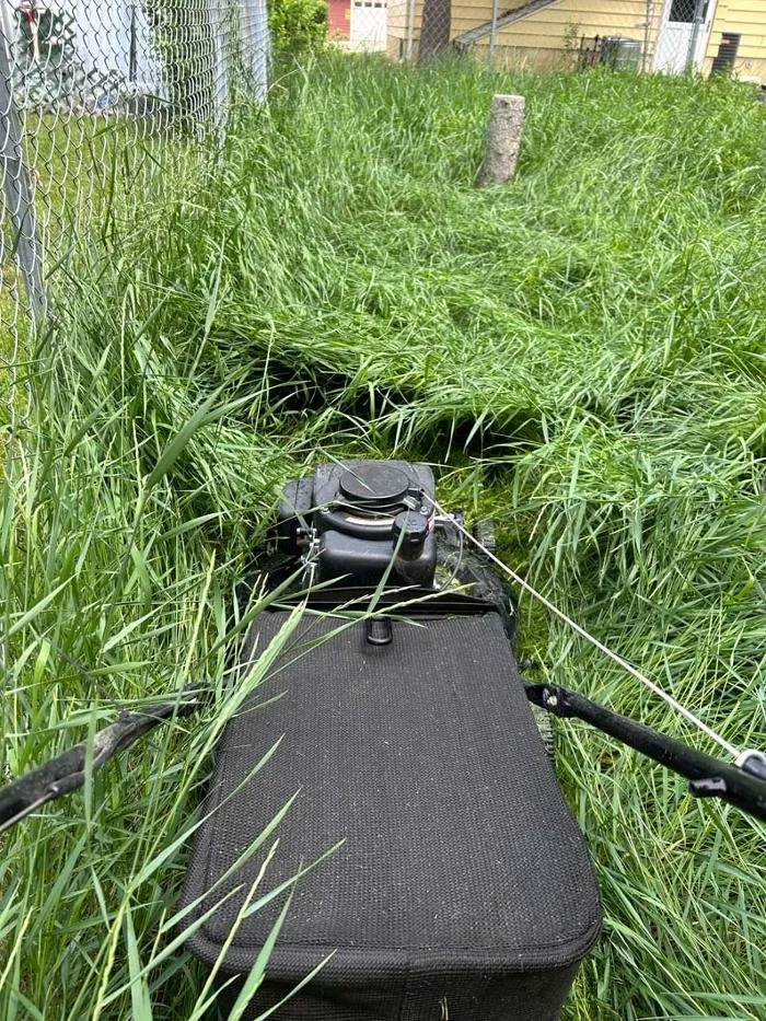 Professional lawn care service for year-round maintenance across Minot, ND - Colton's Lawn Care