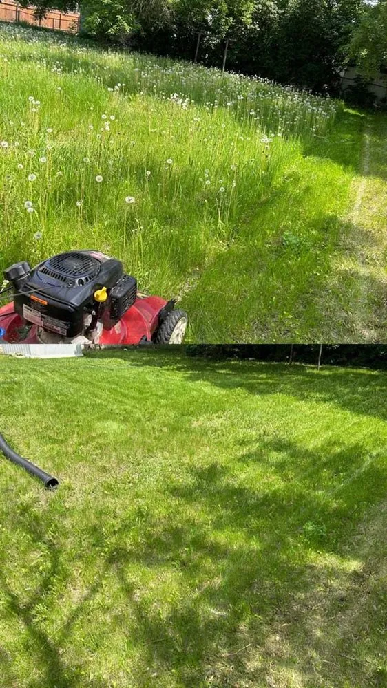 Custom yard cleanup service for beautiful yards in Minot, ND by Colton's Lawn Care
