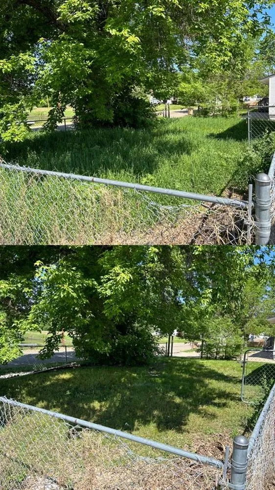 Expert yard maintenance in Minot, ND - Colton's Lawn Care