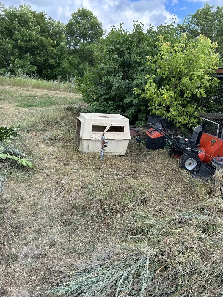 Top-rated yard cleanup service experts serving Minot, ND - Colton's Lawn Care