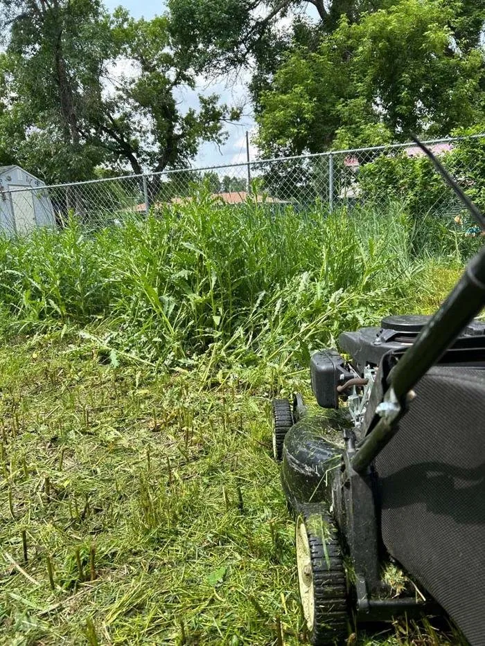 Reliable yard cleanup service with custom design in Minot, ND by Colton's Lawn Care