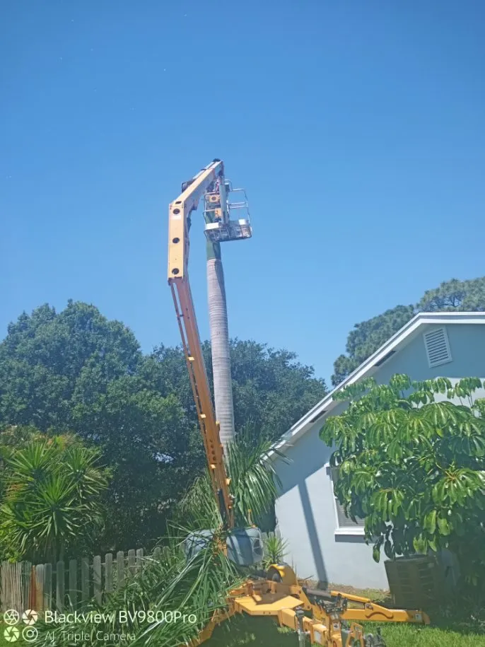 Custom outdoor landscaping in Palm City, FL - Colton's Tree Service