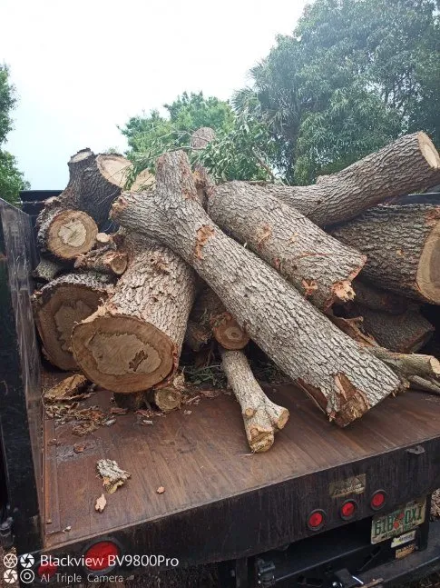 Trusted lawn mowing service in Palm City, FL by Colton's Tree Service