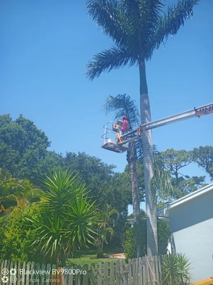 Affordable residential landscaping for residential properties in Palm City, FL by Colton's Tree Service