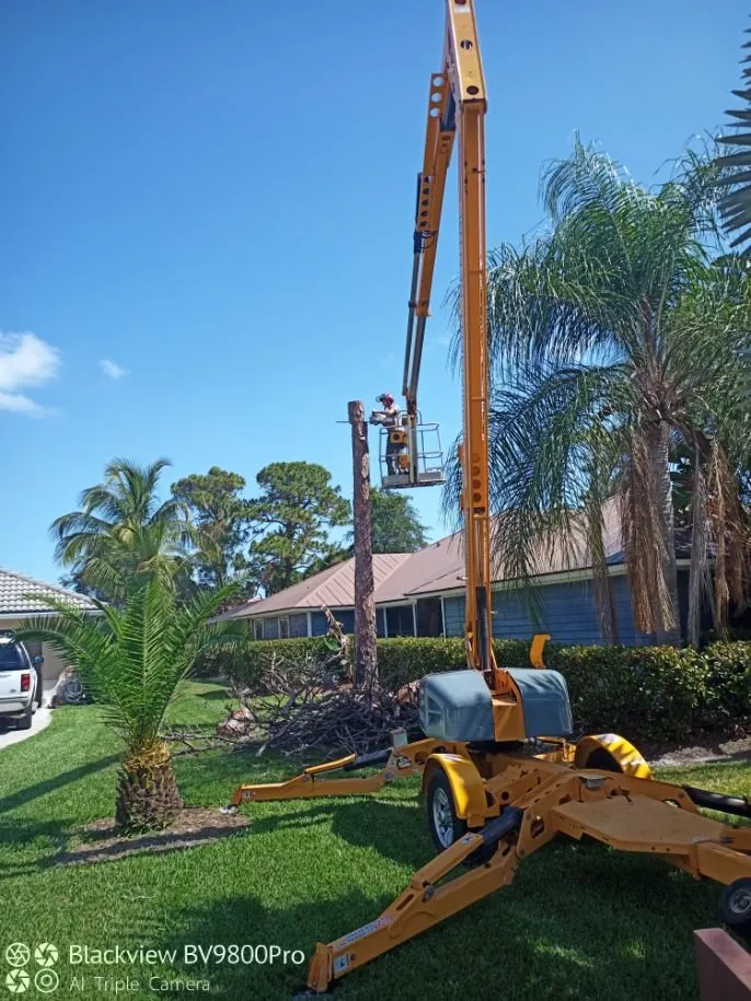 Custom residential landscaping near you in Palm City, FL by Colton's Tree Service