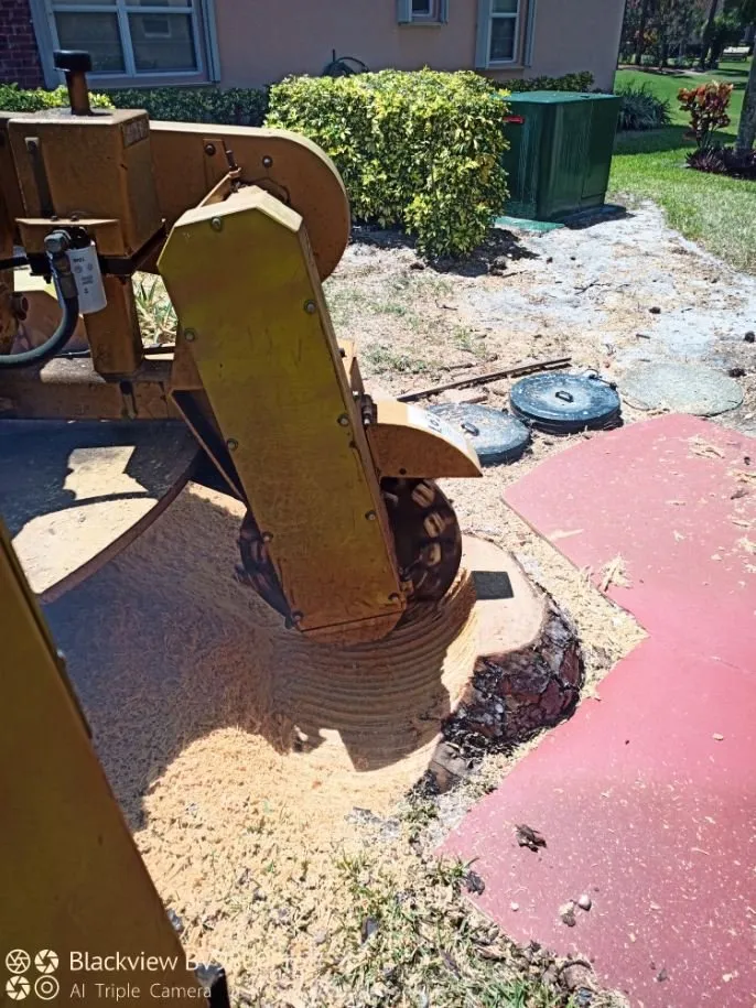 Expert lawn care service for beautiful yards across Palm City, FL - Colton's Tree Service