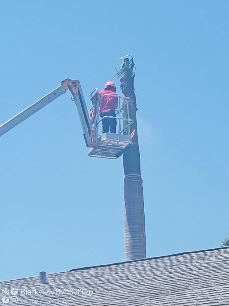 Affordable garden landscaping for residential properties across Palm City, FL - Colton's Tree Service