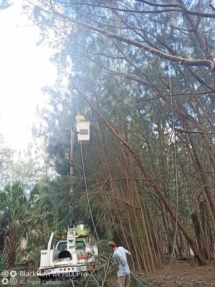 Trusted outdoor landscaping in Palm City, FL - Colton's Tree Service