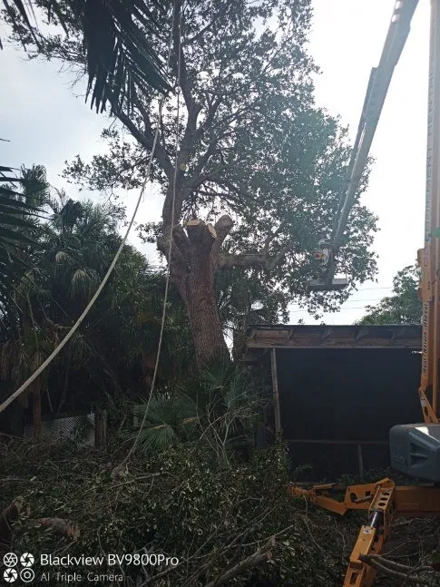 Reliable residential landscaping with custom design across Palm City, FL - Colton's Tree Service