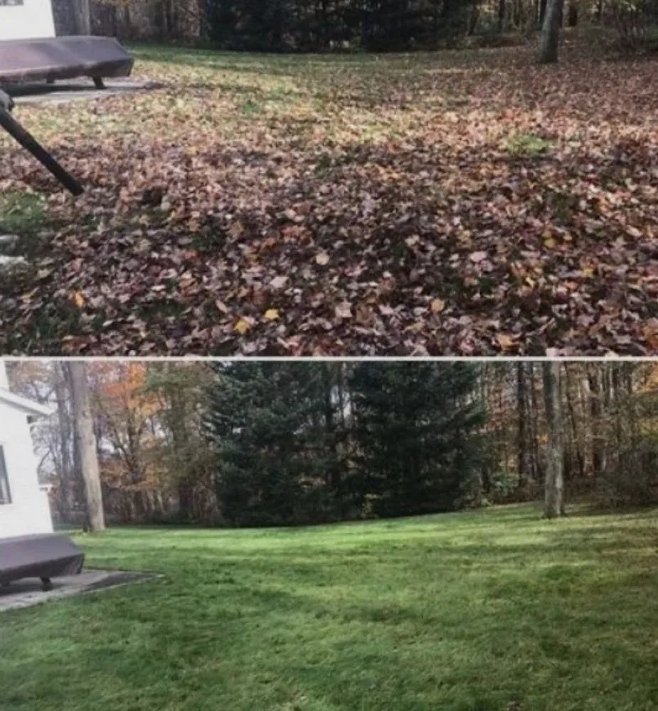 Expert yard cleanup service in Memphis, TN - Colts Yard Crew