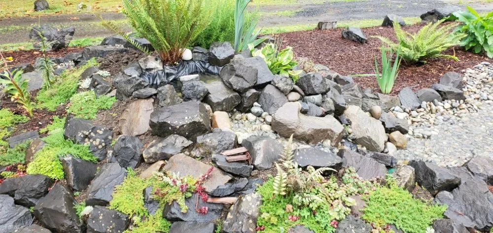 Trusted yard cleanup service in Tumwater, WA - Coluccio's Landscape And Design
