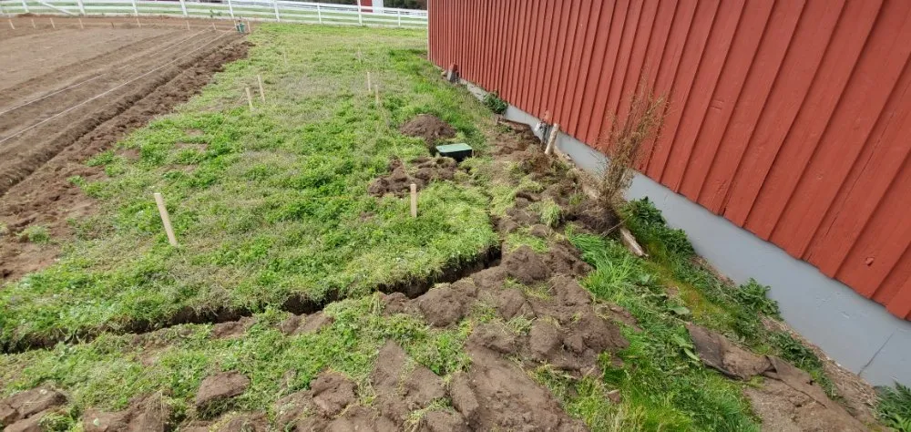 Local landscaping services experts serving Tumwater, WA - Coluccio's Landscape And Design