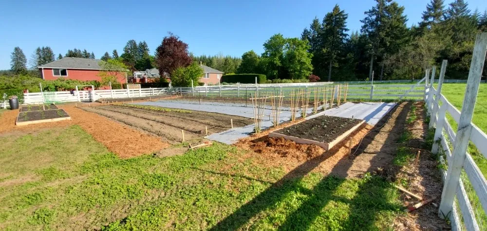 Local landscape installation experts serving Tumwater, WA - Coluccio's Landscape And Design